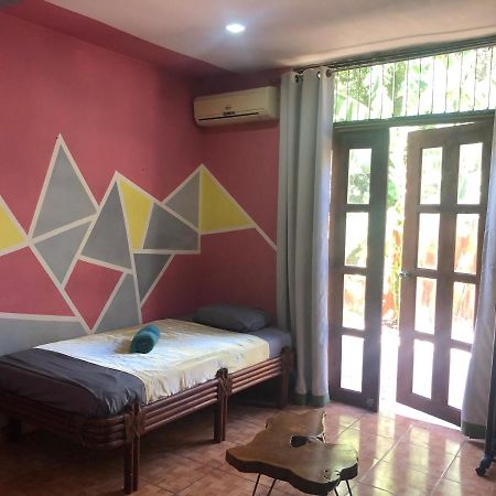 Toucan House كوكو المظهر الخارجي الصورة