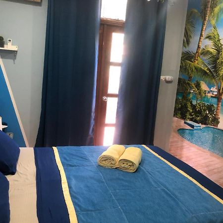 Toucan House كوكو المظهر الخارجي الصورة