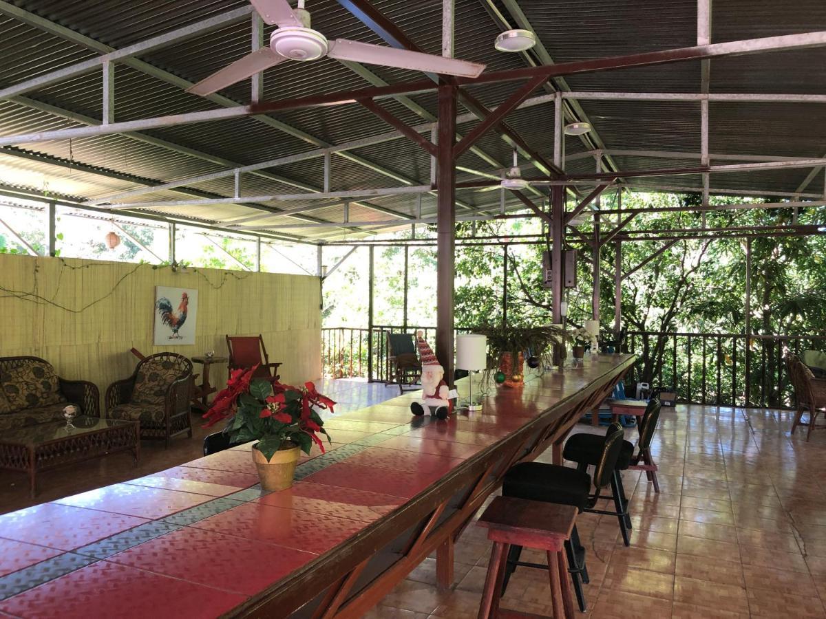 Toucan House كوكو المظهر الخارجي الصورة