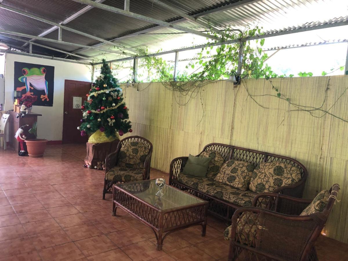 Toucan House كوكو المظهر الخارجي الصورة
