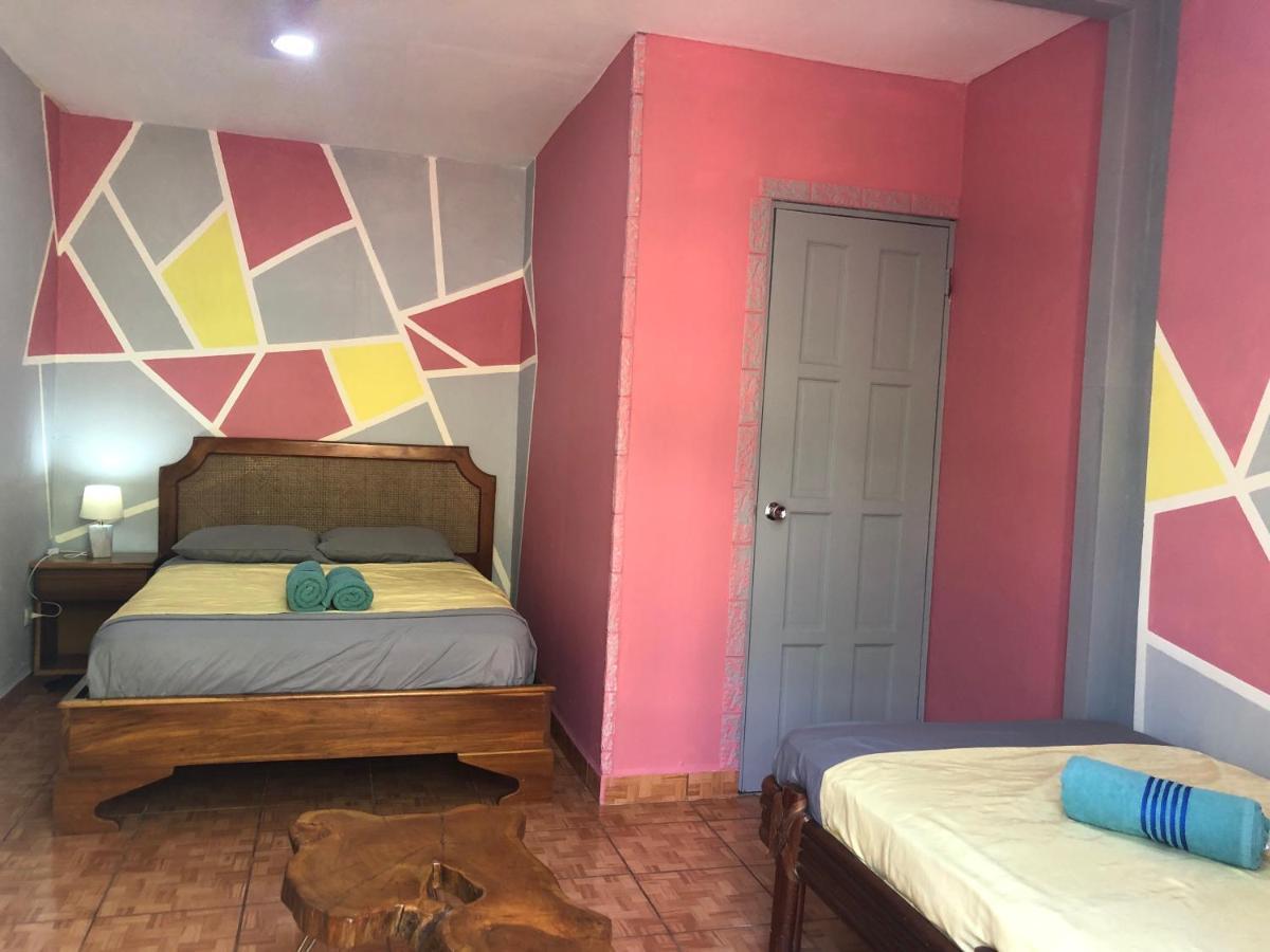 Toucan House كوكو المظهر الخارجي الصورة