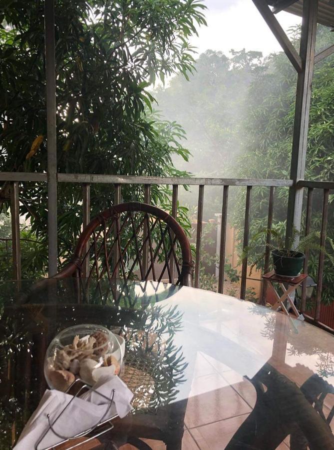 Toucan House كوكو المظهر الخارجي الصورة