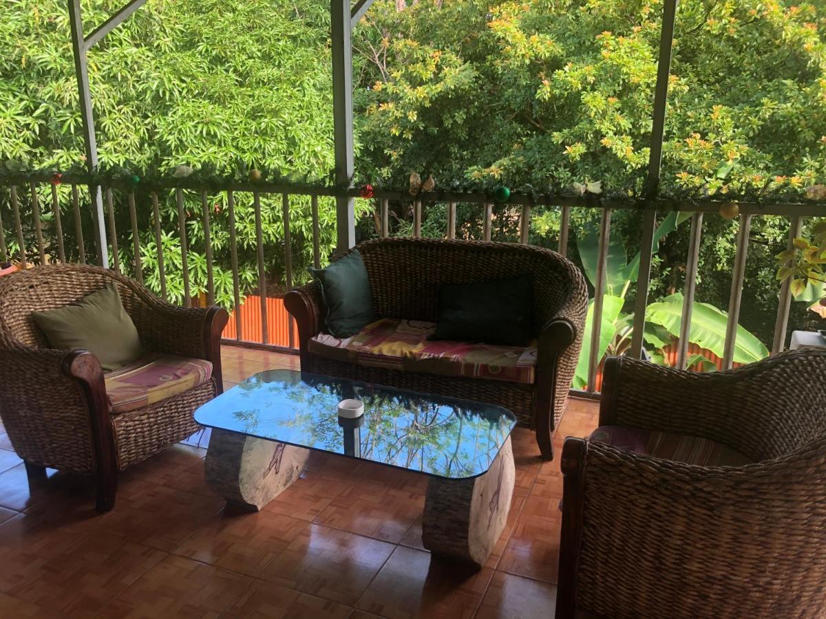 Toucan House كوكو المظهر الخارجي الصورة